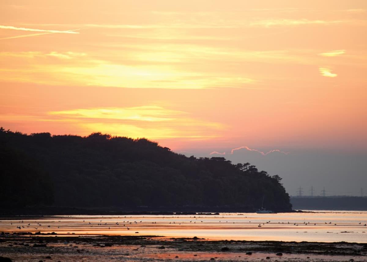 Hotel Woodside Coastal Retreat Fishbourne  Esterno foto